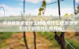 手游绝地求生什么时候用什么枪,绝地求生这个游戏什么枪好压