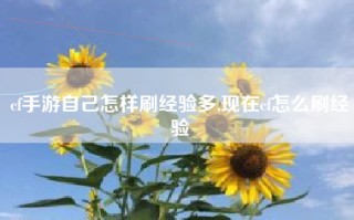 cf手游自己怎样刷经验多,现在cf怎么刷经验