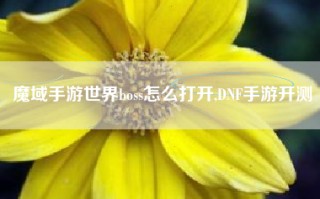 魔域手游世界boss怎么打开,DNF手游开测