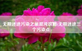 无期迷途污染之巢混沌攻略(无期迷途三个污染点)
