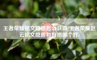 王者荣耀铭文隐匿怎么获得(王者荣耀赵云铭文隐匿和狩猎哪个好)