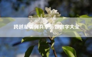 跨越星弧佣兵幸运骰数字大全