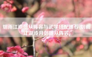 烟雨江湖随从阵容与武学搭配推荐(烟雨江湖泠月剑随从阵容)