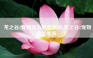 龙之谷2宠物怎么升阶图示(龙之谷2宠物怎么丢弃)