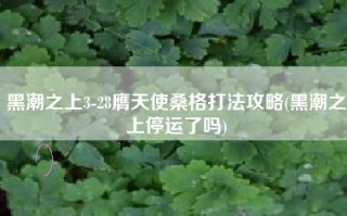 黑潮之上3-28膺天使桑格打法攻略(黑潮之上停运了吗)