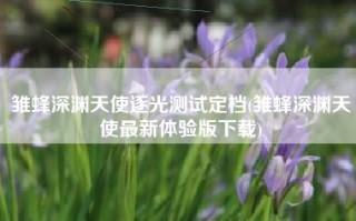 雏蜂深渊天使逐光测试定档(雏蜂深渊天使最新体验版下载)