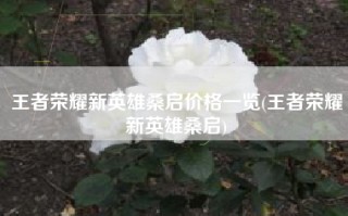 王者荣耀新英雄桑启价格一览(王者荣耀新英雄桑启)