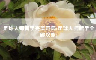 足球大师新手完美开局(足球大师新手全部攻略)