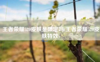 王者荣耀520皮肤是限定吗(王者荣耀520皮肤特效)