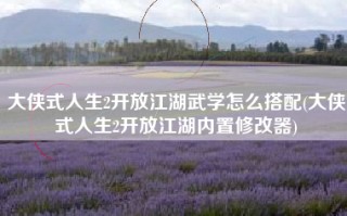 大侠式人生2开放江湖武学怎么搭配(大侠式人生2开放江湖内置修改器)