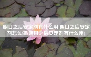 明日之后安定剂有什么用 明日之后安定剂怎么做(明日之后安定剂有什么用)