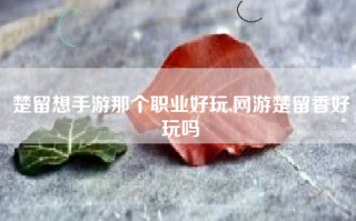 楚留想手游那个职业好玩,网游楚留香好玩吗