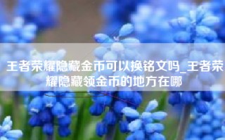 王者荣耀隐藏金币可以换铭文吗_王者荣耀隐藏领金币的地方在哪