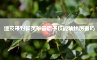 道友来封神英雄雷震子技能输出厉害吗