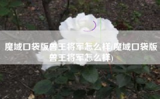 魔域口袋版兽王将军怎么样(魔域口袋版兽王将军怎么样)