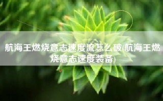 航海王燃烧意志速度流怎么破(航海王燃烧意志速度装备)
