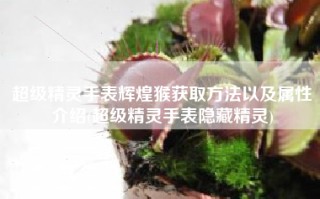 超级精灵手表辉煌猴获取方法以及属性介绍(超级精灵手表隐藏精灵)