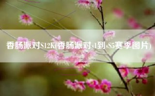 香肠派对S12K(香肠派对s1到sS5赛季图片)
