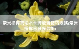 荣誉指挥官法术卡牌放置技巧攻略(荣誉指挥官最强卡组)