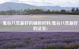 鬼谷八荒最好的辅助材料(鬼谷八荒最好的法宝)