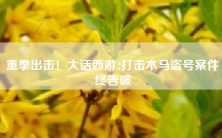 重拳出击！大话西游2打击木马盗号案件终告破
