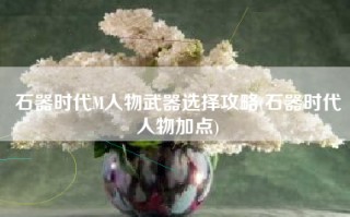 石器时代M人物武器选择攻略(石器时代人物加点)