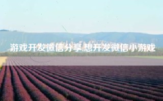 游戏开发微信分享,想开发微信小游戏
