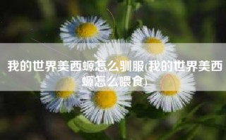 我的世界美西螈怎么驯服(我的世界美西螈怎么喂食)
