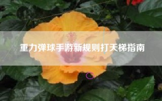 重力弹球手游新规则打天梯指南