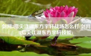 剑网3指尖江湖东方宇轩战场怎么打(剑网3指尖江湖东方宇轩技能)