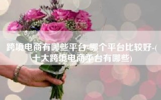 跨境电商有哪些平台-哪个平台比较好-(十大跨境电商平台有哪些)