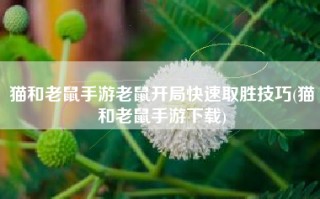 猫和老鼠手游老鼠开局快速取胜技巧(猫和老鼠手游下载)