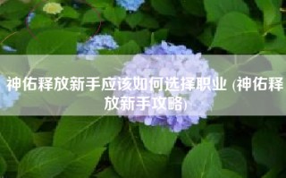 神佑释放新手应该如何选择职业 (神佑释放新手攻略)