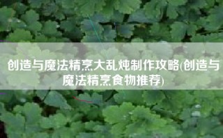 创造与魔法精烹大乱炖制作攻略(创造与魔法精烹食物推荐)