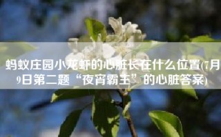 蚂蚁庄园小龙虾的心脏长在什么位置(7月9日第二题“夜宵霸主”的心脏答案)