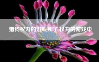 猎狗权力的游戏死了,权力的游戏中