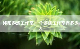 沭阳游戏工作室,一个游戏工作室有多少人