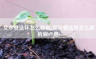 艾尔登法环怎么联机(艾尔登法环怎么联机刷卢恩)