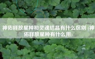 神佑释放星种和灵魂结晶有什么区别 (神佑释放星种有什么用)