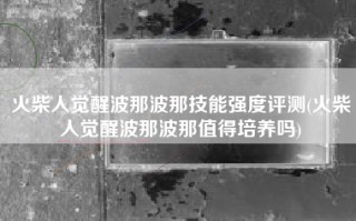 火柴人觉醒波那波那技能强度评测(火柴人觉醒波那波那值得培养吗)