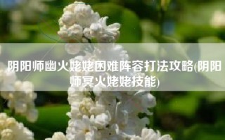 阴阳师幽火姥姥困难阵容打法攻略(阴阳师冥火姥姥技能)