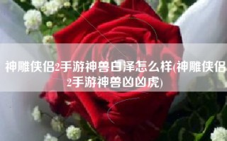神雕侠侣2手游神兽白泽怎么样(神雕侠侣2手游神兽凶凶虎)