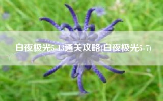 白夜极光5-13通关攻略(白夜极光5-7)