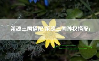 策魂三国搭配(策魂三国孙权搭配)