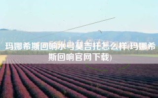 玛娜希斯回响水弓莫吉托怎么样(玛娜希斯回响官网下载)
