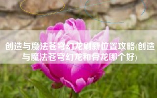 创造与魔法苍穹幻龙刷新位置攻略(创造与魔法苍穹幻龙和骨龙哪个好)
