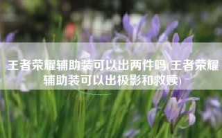 王者荣耀辅助装可以出两件吗(王者荣耀辅助装可以出极影和救赎)