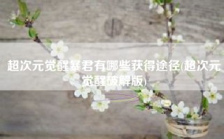 超次元觉醒暴君有哪些获得途径(超次元觉醒破解版)