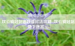 坎公骑冠剑老妖婆打法攻略 (坎公骑冠剑地下迷宫22)