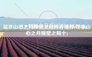 花亦山心之月观壁之局阵容推荐(花亦山心之月观壁之局十)